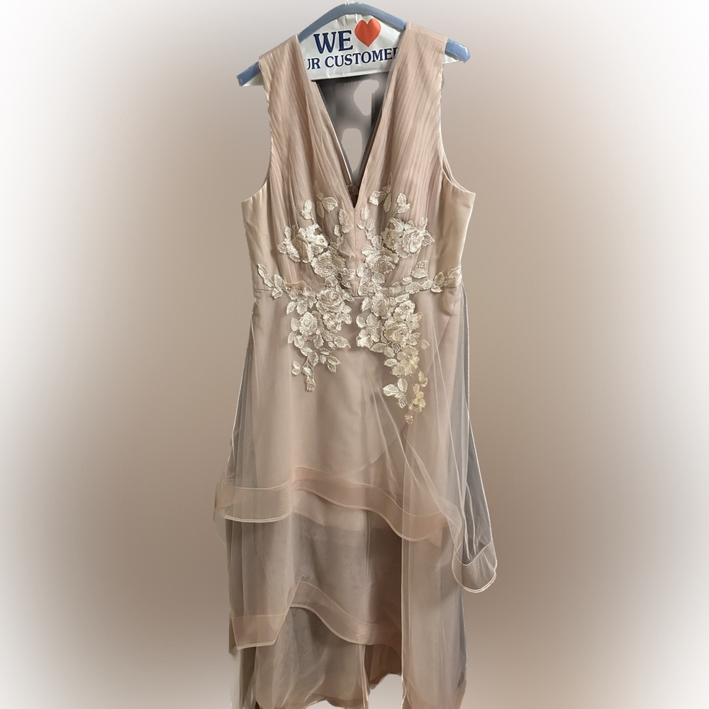 BCBG maxAzria blush floral appliqué tulle gown- NWOT